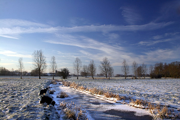 Winter Morning